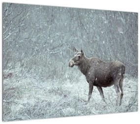 Obraz na szkle - Łoś w śnieżnym lesie (70x50 cm)