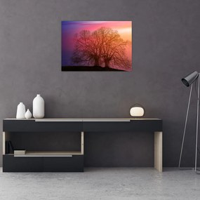 Obraz drzew we mgle (70x50 cm)
