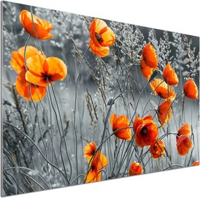 Panel dekor szkło Polne maki