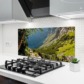 Panel Szklany Dzika Natura W Górach