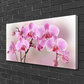 Zdjęcie na płótnie Pastelowy Bukiet Botaniczny