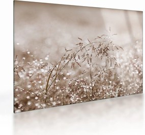 Obraz na szkle - Łąka w odcieniach brązu (70x50 cm)