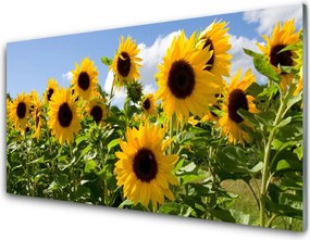 Panel Szklany Złoty Słonecznik w Słońcu