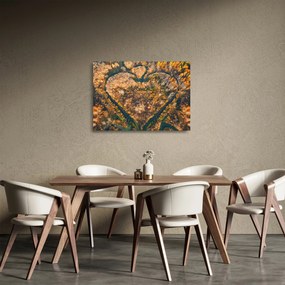 Obraz na szkle - Rzeka w kształcie serca (70x50 cm)