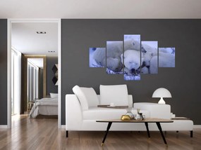 Obraz - Niedźwiadki polarne (125x70 cm)