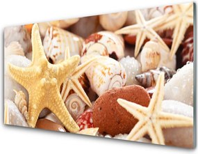 Panel Szklany Kompozycja Muszli na Brzegu