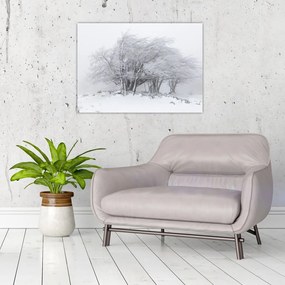 Obraz na szkle - Biała zima (70x50 cm)
