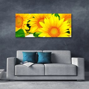 Obraz Canvas Słonecznik Kwiat Natura