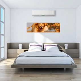 Obraz - Golden Retriever (170x50 cm)