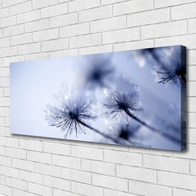 Obraz canvas Ulotny Dmuchawiec na Wietrze