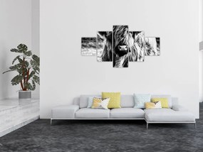 Obraz - Highland - szkocka krowa (125x70 cm)