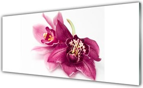 Panel nad blat kuchenny Wykwintny Ogród Botaniczny