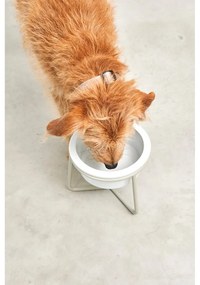 Porcelanowa miska ze stojakiem dla psów ø 20 cm Pranzo Greige M – MiaCara