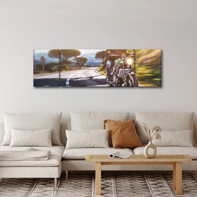 Obraz - Motocyklista (170x50 cm)