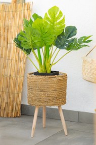 Sztuczna roślina MONSTERA, 70 cm