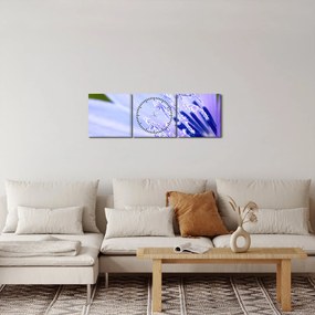 Obraz - Kwiat (z zegarem) (90x30 cm)