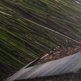 Obraz - Wśród bambusów (z zegarem) (90x30 cm)