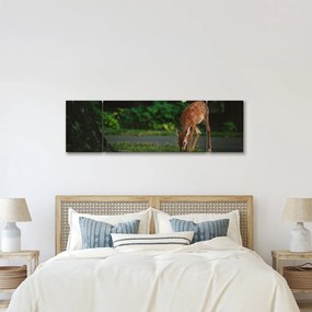 Wizerunek jelonka (170x50 cm)