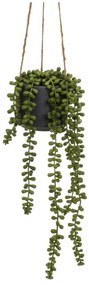 Sztuczna roślina (wysokość 37 cm) Senecio – Casa Selección