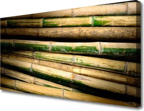 Obraz na płótnie Świeże Pędy Zielonego Bambusa