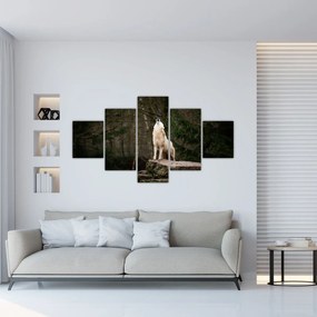 Obraz - Wycie wilka (125x70 cm)