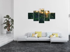 Obraz słońca przeświecającego przez gałęzie drzew (125x70 cm)