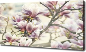 Foto obraz canvas Magnolia