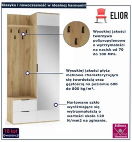 Garderoba nowoczesna dąb złoty + biały F2-N19