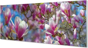 Szklany Panel Drzewa Magnolii w Rozkwicie