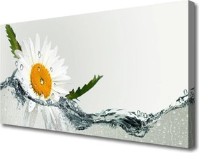 Obraz canvas Biała Stokrotka na Lustrze Wody