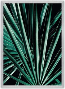 Plakat Dark Palm Tree