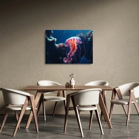 Obraz na szkle - Meduza (70x50 cm)