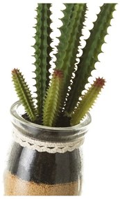 Sztuczne rośliny zestaw 4 szt. (wysokość 18 cm) Cactus – Casa Selección