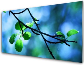 Panel Szklany Świeże Liście na Gałązce