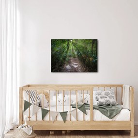 Obraz - Promienie słońca w dżungli (70x50 cm)