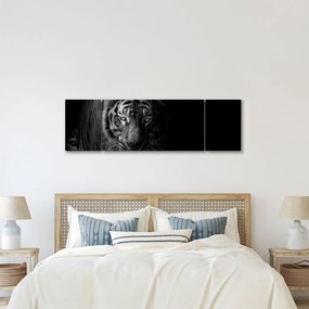 Obraz dzikiego tygrysa (170x50 cm)