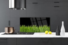 Szkło do Kuchni na Ścianę Naturalna Świeżość Murawy