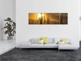 Obraz - Kaktusy Saguaro (170x50 cm)
