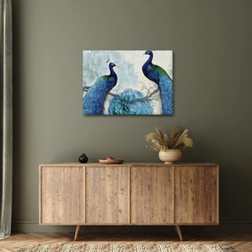 Obraz - Pawie tekstury (70x50 cm)