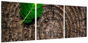 Obraz liścia na pniu drzewa (z zegarem) (90x30 cm)