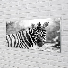 Panel szklany do Kuchni Zebra w Stylu Retro