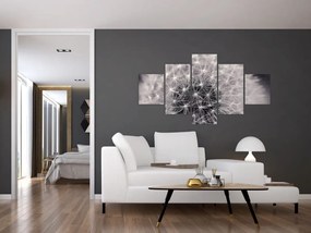 Obraz dmuchawca (125x70 cm)