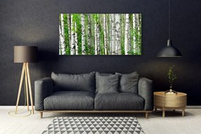 Obraz Szklany Las Roślina Natura Drzewa