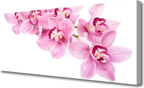 Obraz canvas Pełnia Kwiatowej Natury