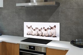 Panel szklany do Kuchni Grupa Uroczych Kociąt