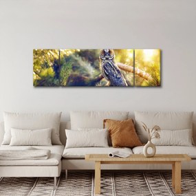 Obraz sowy na drzewie (170x50 cm)