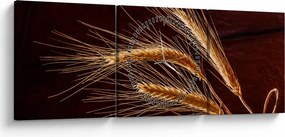 Obraz - Fragment kłosa żyta (z zegarem) (90x30 cm)