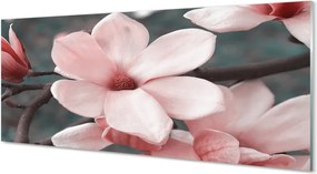 Panel Kuchenny Szklany Delikatne Różowe Kwiaty