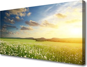 Obraz canvas Barwna Panorama Polnej Łąki