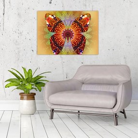 Obraz na szkle - Etno motyl (70x50 cm)